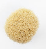 Zenith Boar Brush with an Amethyst Swirl Resin Handle. 27mm Knot. B45