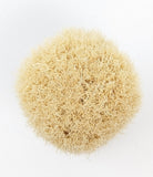 Zenith Boar Brush with an Amber Resin Handle. 28mm Knot. B44