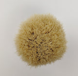 Zenith Copper Boar Brush. 27.5mm Made In Italy B33