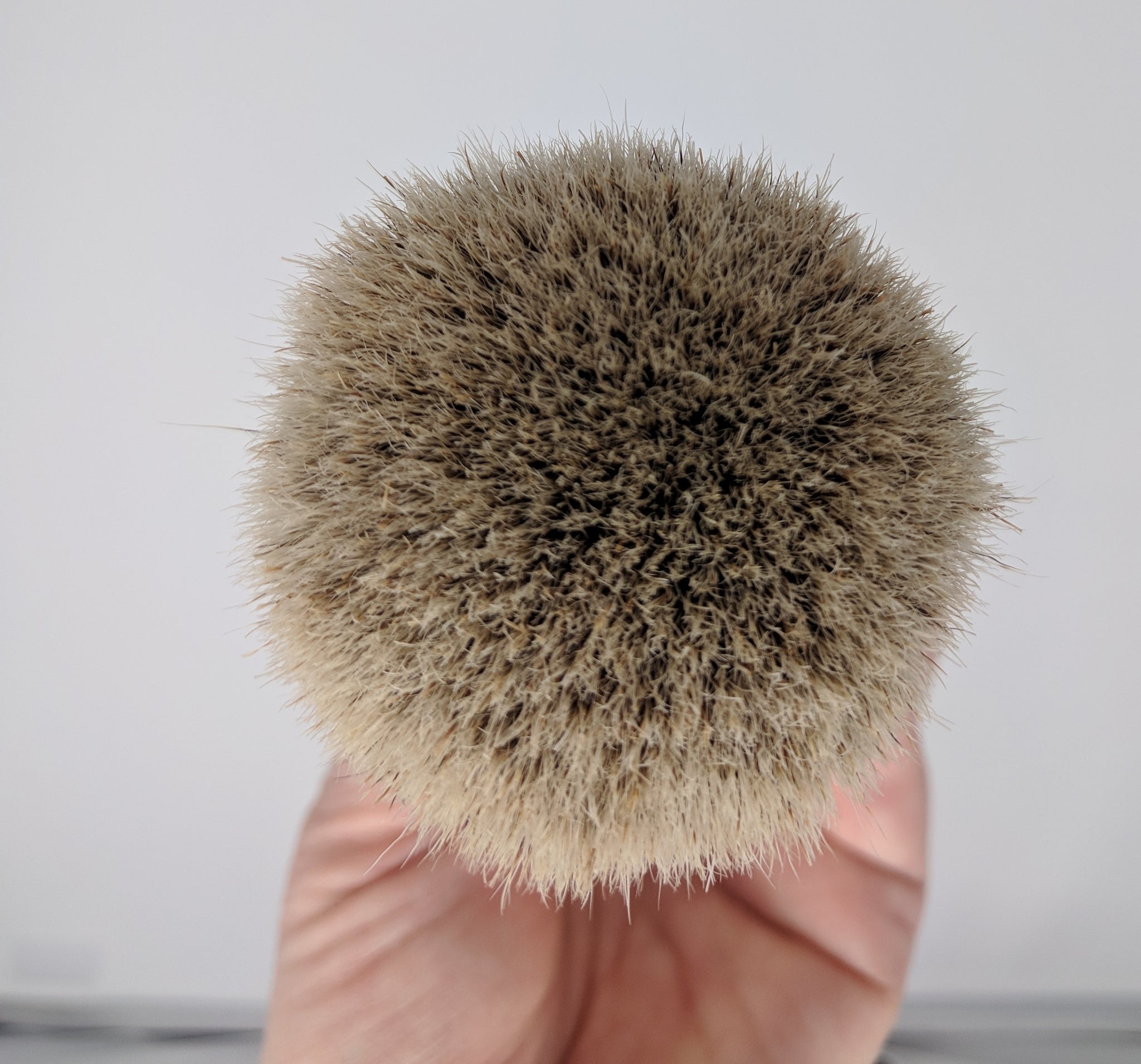 Copper Handle XXL Manchurian Two Band 28mm Brush by Zenith. Made