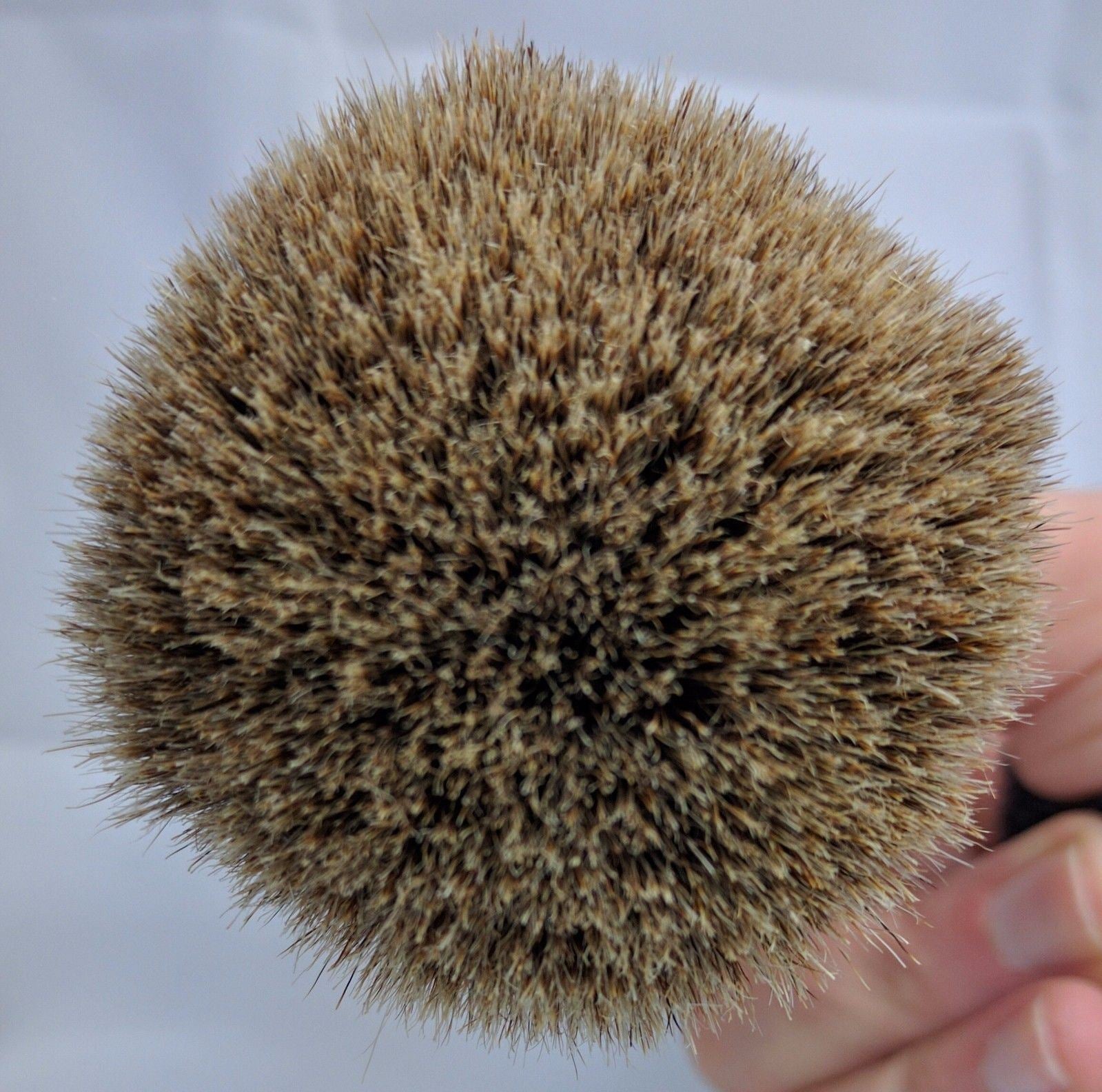 Zenith Kotibe Best Badger Shave Brush. 24.5 mm. Made in Palermo