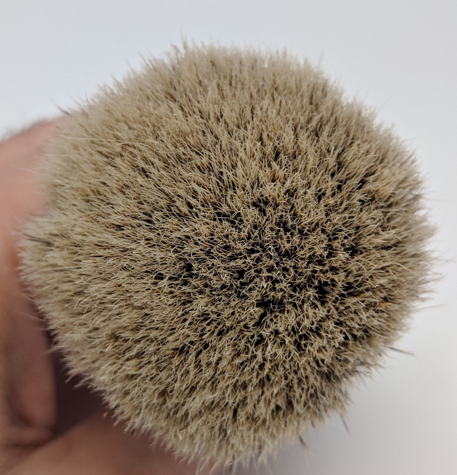 Zenith Tall Scrubby Italian Flag Manchurian Brush. 27.5 x 51 Made